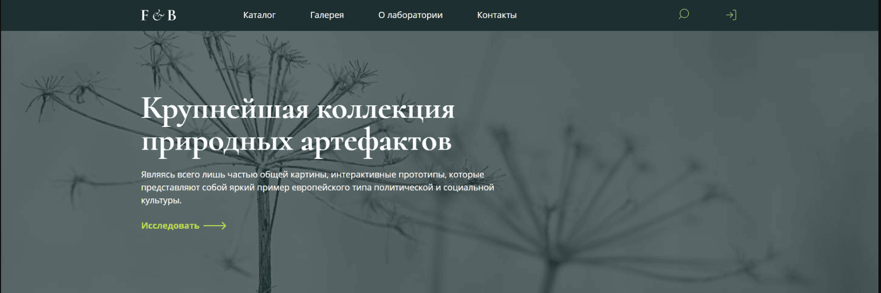 Проект 7